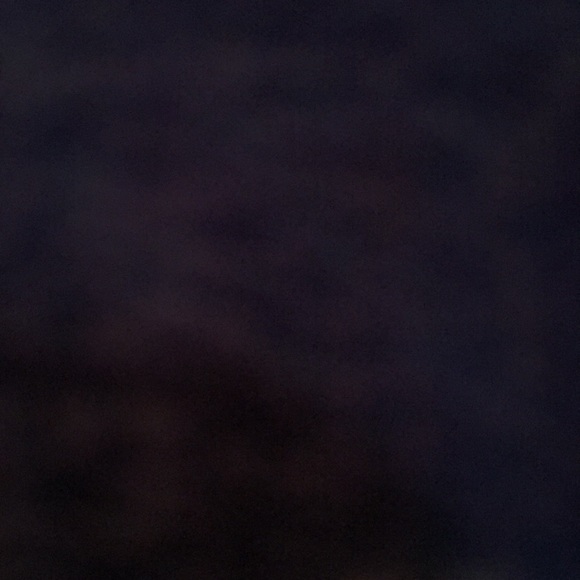 Meet your Posher, Sammy - Picture 1 of 1